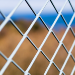 Wire mesh partitions